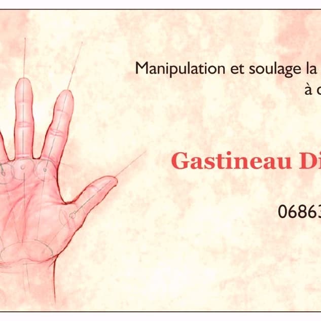 didier gastineau